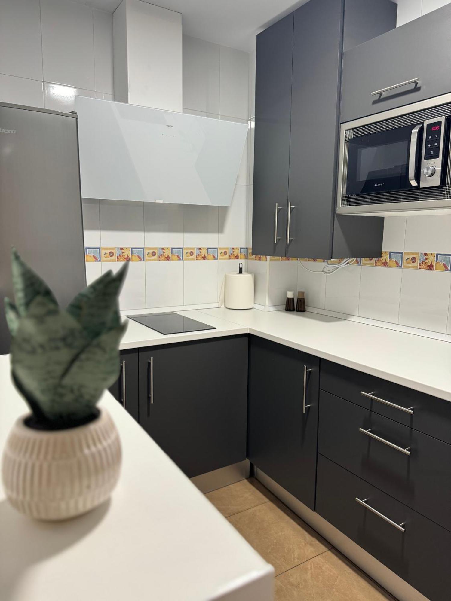 Tintomar Apartment